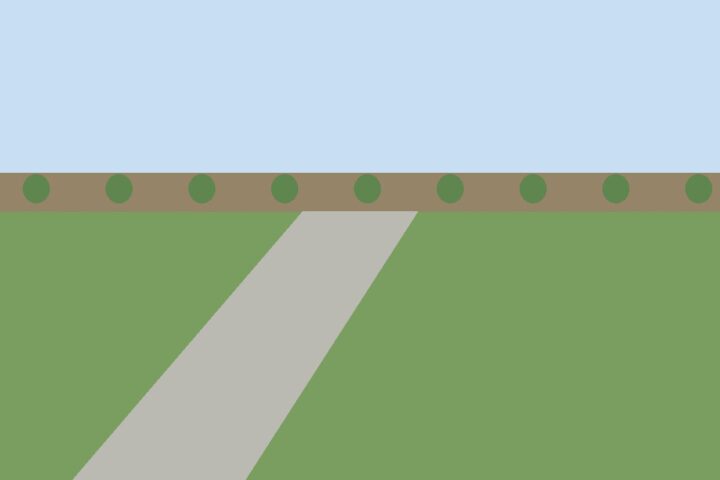 Landscaping & Garden Tidy
